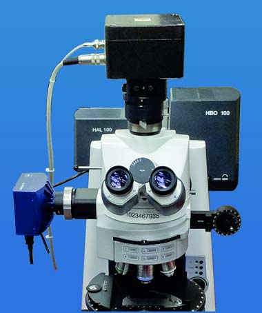 Gekühlte CCD Farbkamera an Mikroskop