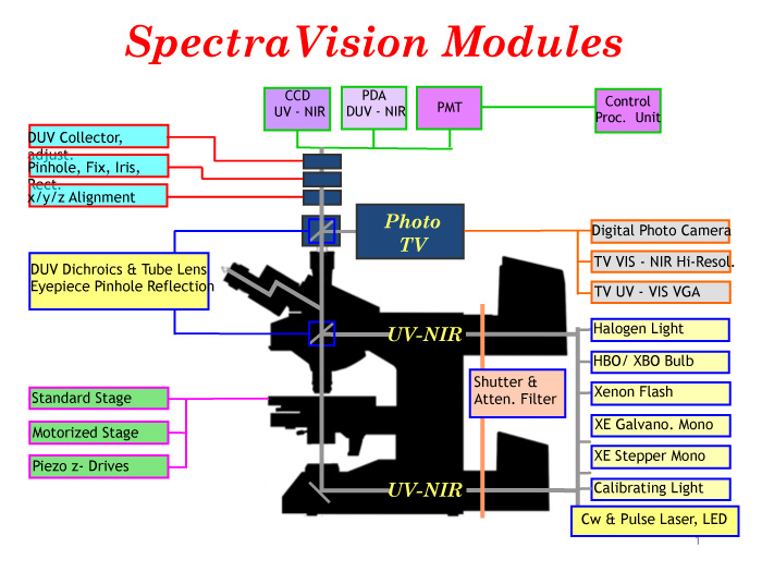 Microscope modules for spectroscopy